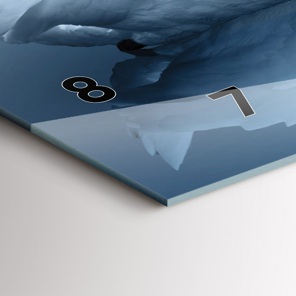 Glass wall clock rectangular Swans in the heart