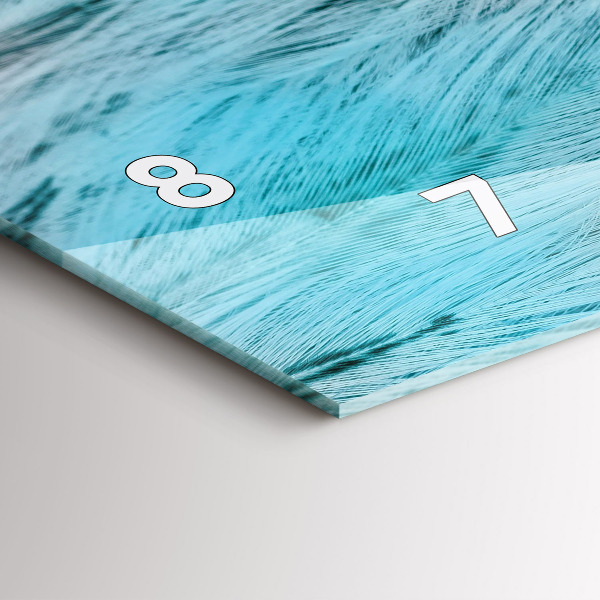 Glass wall clock rectangular Colorful feathers