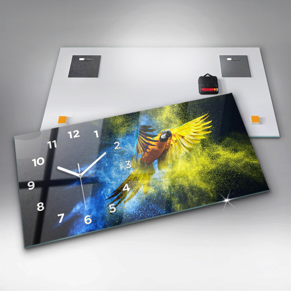 Glass wall clock rectangular Colorful Parrot