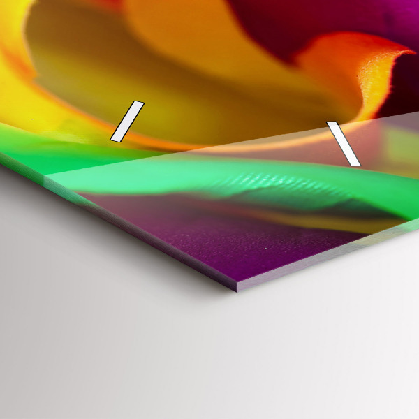 Glass wall clock rectangular Rainbow Rose