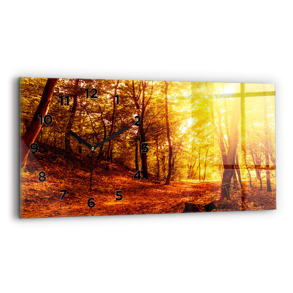 Glass wall clock rectangular Forest landscape in the sun