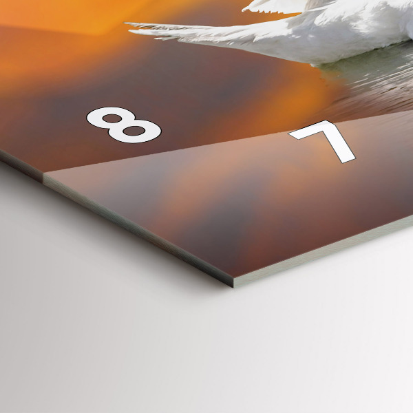 Glass wall clock rectangular Swans in Love