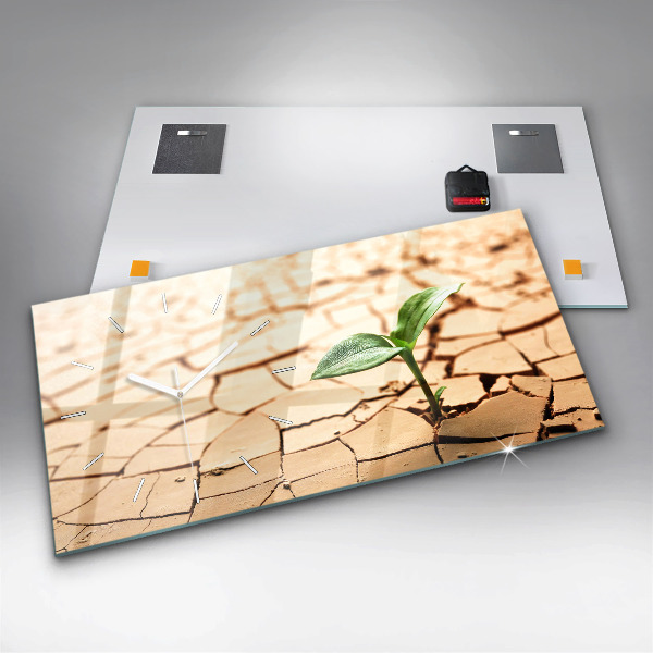 Glass wall clock rectangular A plant in dried-out soil