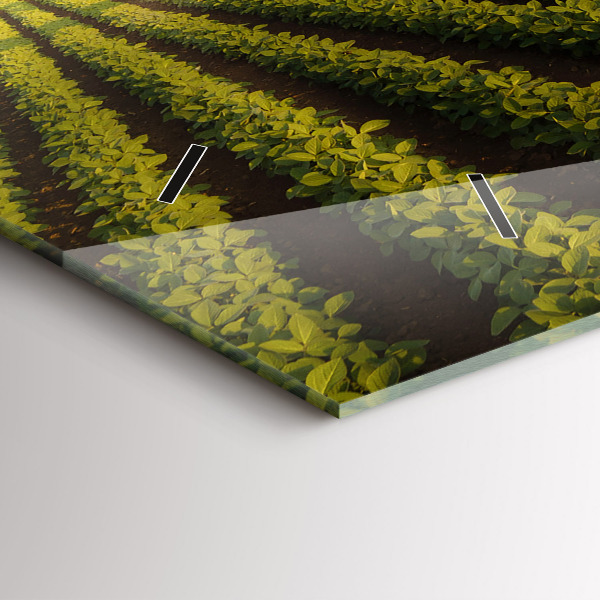 Glass wall clock rectangular Tractor spraying a field