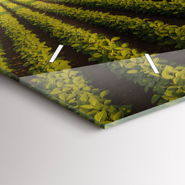 Glass wall clock rectangular Tractor spraying a field