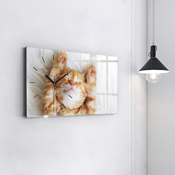 Glass wall clock rectangular Little Sleeping Kitten