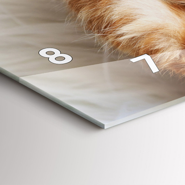 Glass wall clock rectangular Little Sleeping Kitten
