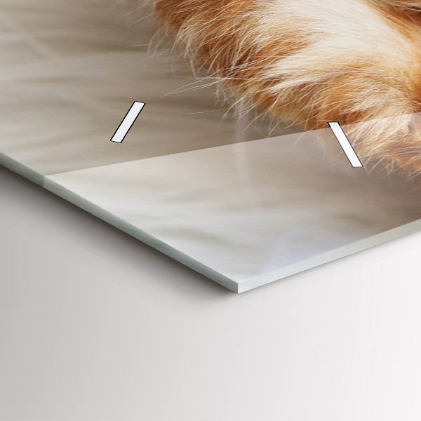 Glass wall clock rectangular Little Sleeping Kitten