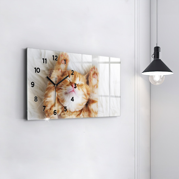 Glass wall clock rectangular Little Sleeping Kitten