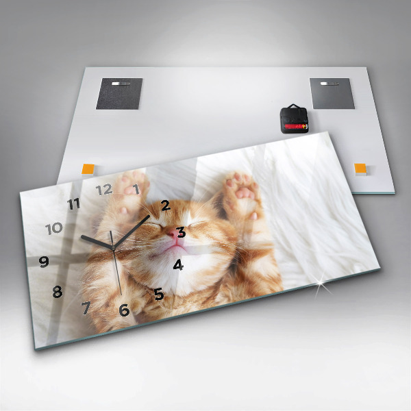 Glass wall clock rectangular Little Sleeping Kitten