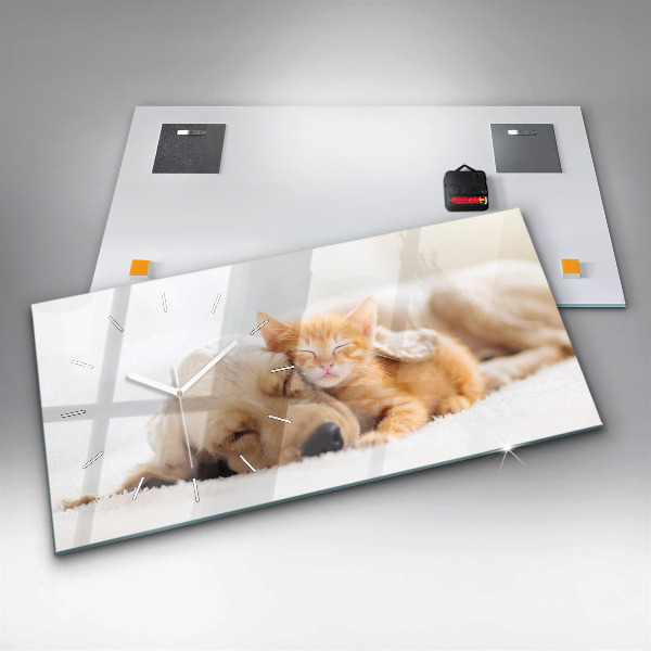 Glass wall clock rectangular Sleeping cat and dog