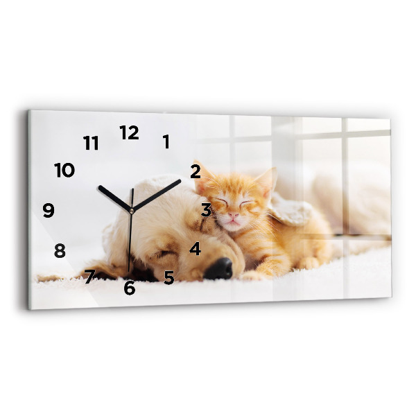 Glass wall clock rectangular Sleeping cat and dog