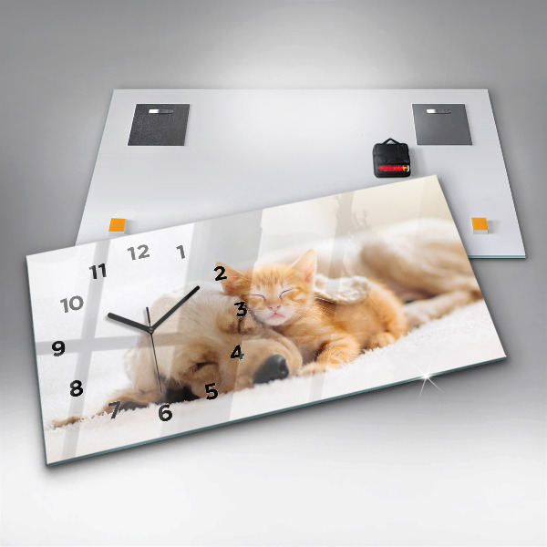 Glass wall clock rectangular Sleeping cat and dog