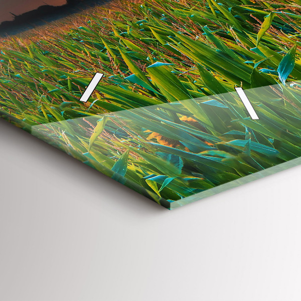 Glass wall clock rectangular Sunflowers in the meadow