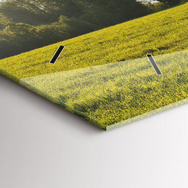 Glass wall clock rectangular Mountains and field