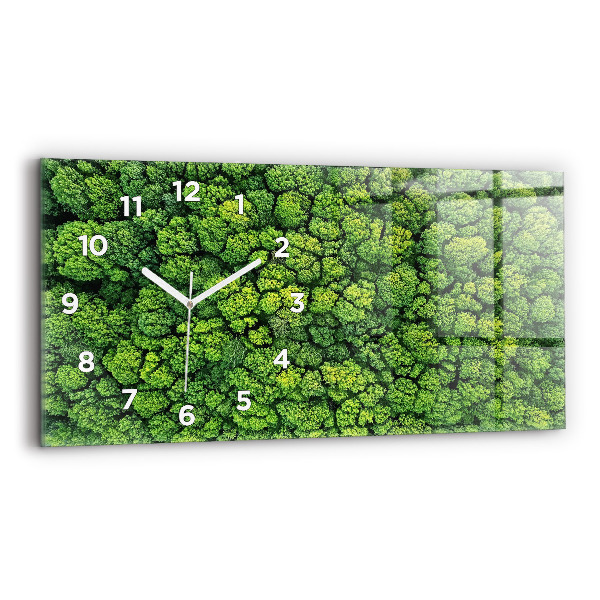 Glass wall clock rectangular Forest from a bird's eye view