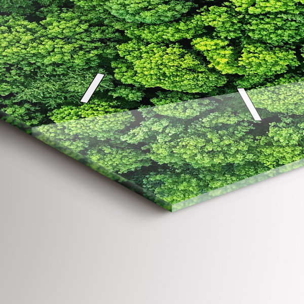 Glass wall clock rectangular Forest from a bird's eye view