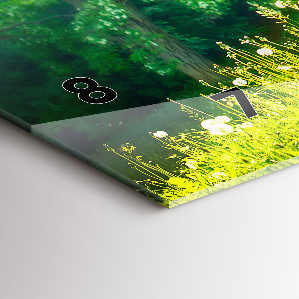 Glass wall clock rectangular Spring nature