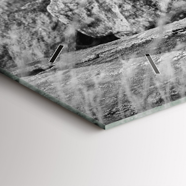 Glass wall clock rectangular Abstraction - Lion