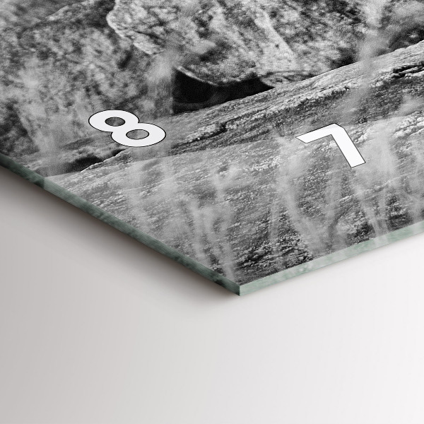 Glass wall clock rectangular Abstraction - Lion