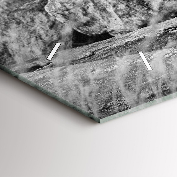 Glass wall clock rectangular Abstraction - Lion