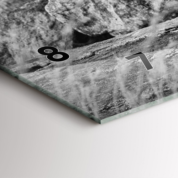 Glass wall clock rectangular Abstraction - Lion