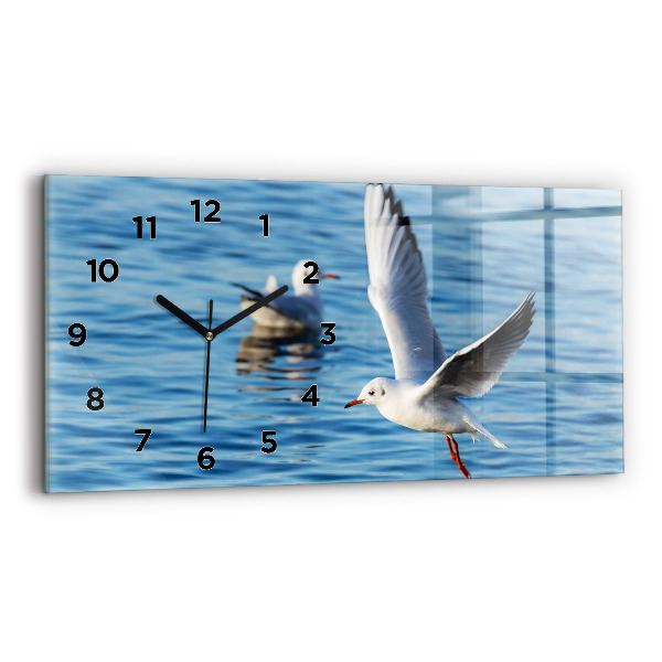 Glass wall clock rectangular Seagulls in Gdynia
