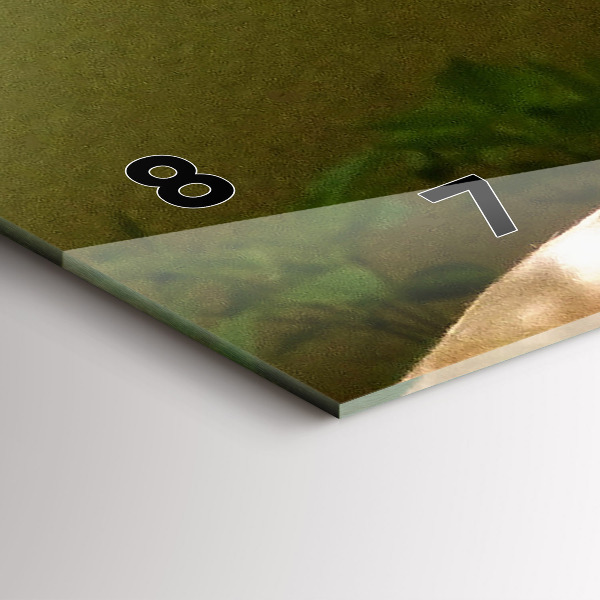 Glass wall clock rectangular Portrait of a Lion