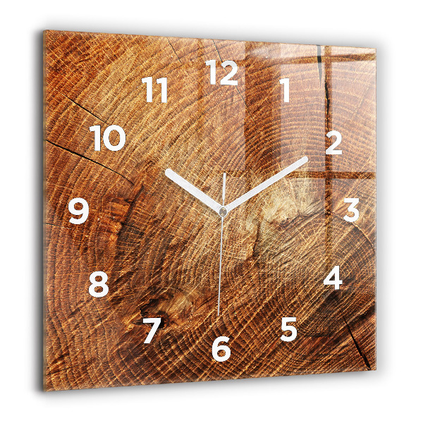 Square glass wall clock Old tree stump