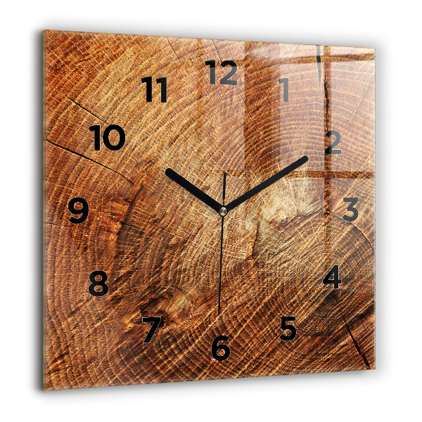 Square glass wall clock Old tree stump