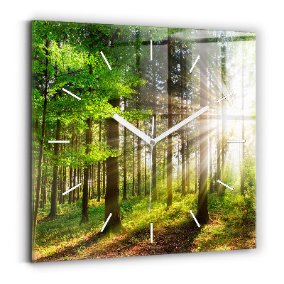 Square glass wall clock Forest sunrise