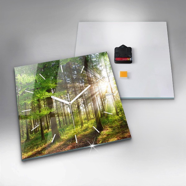 Square glass wall clock Forest sunrise
