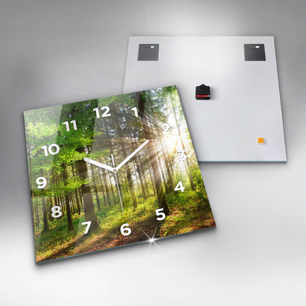 Square glass wall clock Forest sunrise