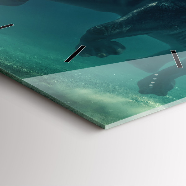 Square glass wall clock Swimming elephant in the ocean