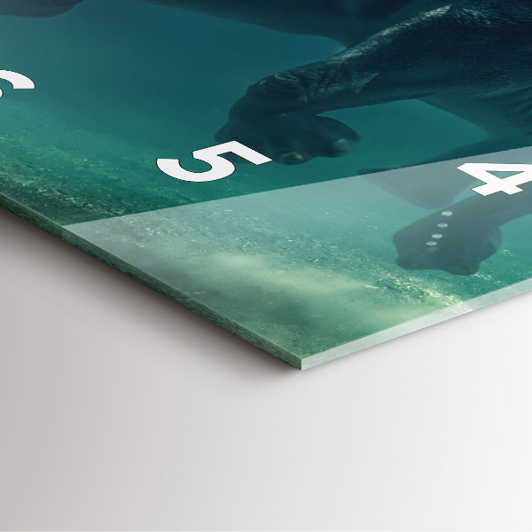 Square glass wall clock Swimming elephant in the ocean