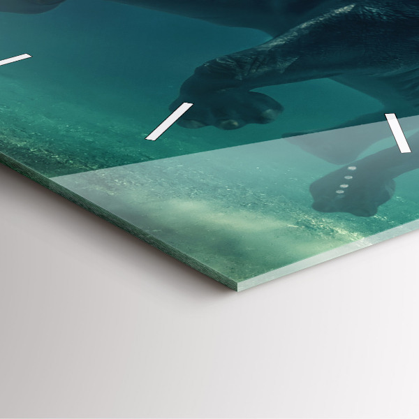 Square glass wall clock Swimming elephant in the ocean