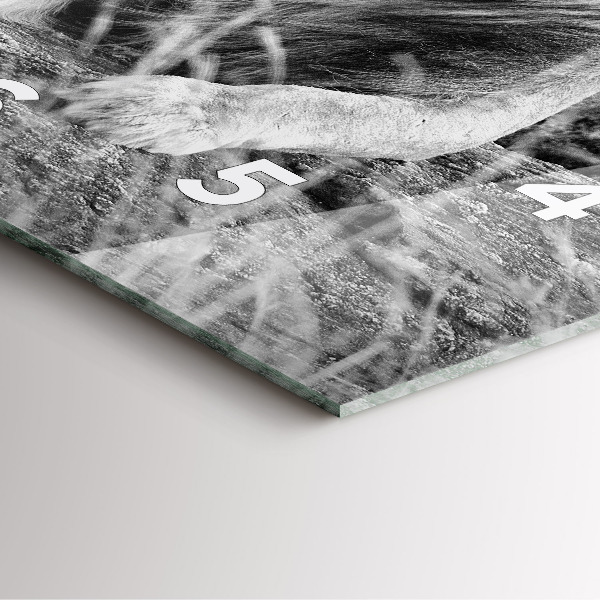 Square glass wall clock Abstraction - Lion