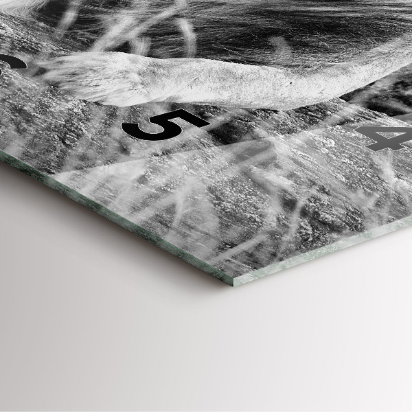 Square glass wall clock Abstraction - Lion