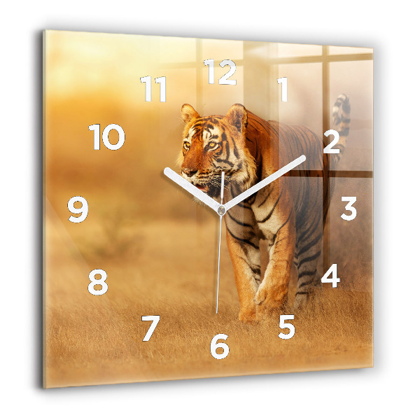 Square glass wall clock Hunting Tiger