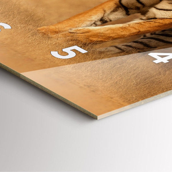 Square glass wall clock Hunting Tiger