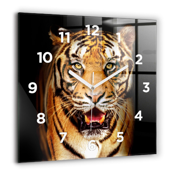 Square glass wall clock Tiger - wild look