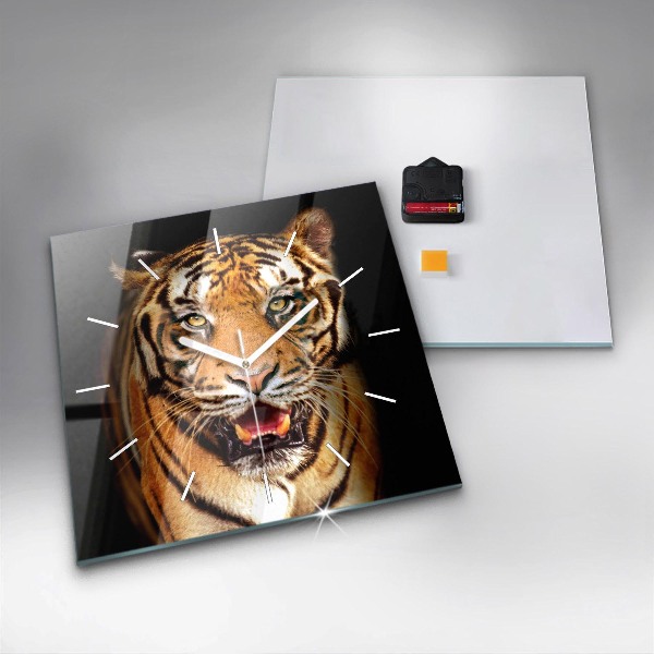 Square glass wall clock Tiger - wild look
