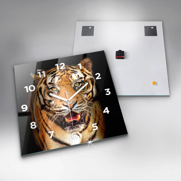 Square glass wall clock Tiger - wild look