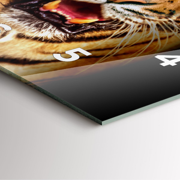 Square glass wall clock Tiger - wild look