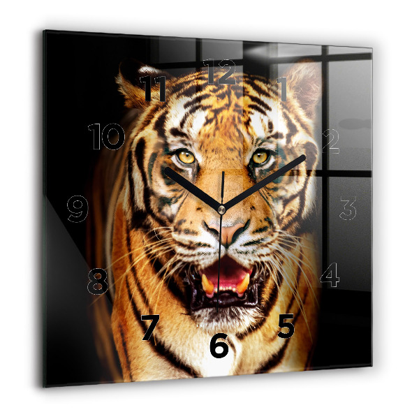 Square glass wall clock Tiger - wild look