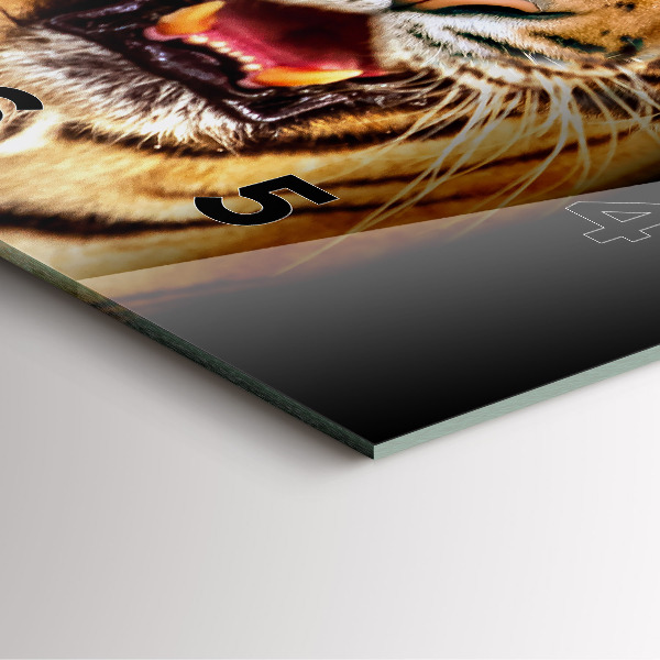 Square glass wall clock Tiger - wild look