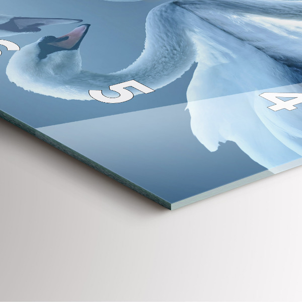 Square glass wall clock Swans in the heart
