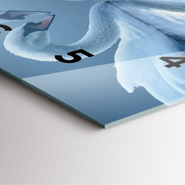Square glass wall clock Swans in the heart