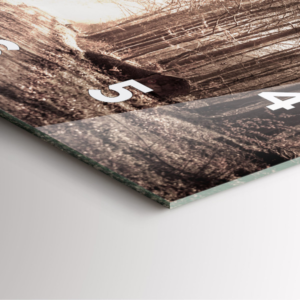 Square glass wall clock Forest path in sepia