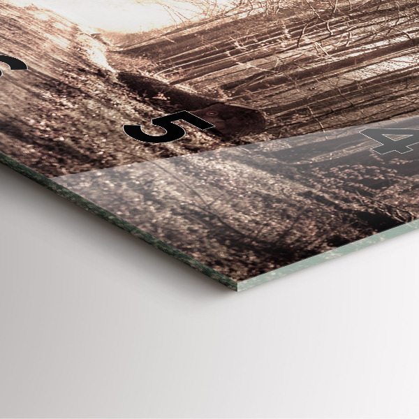 Square glass wall clock Forest path in sepia